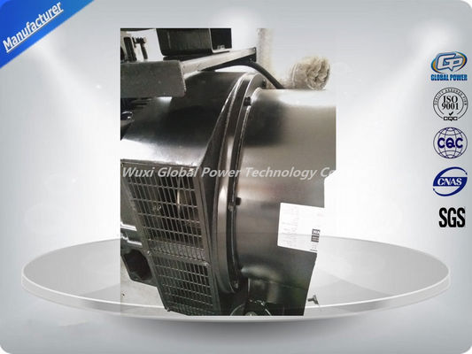 313 কেভিএ 400 ভি 50 এইচজেড 3 PHASE ডিজেল জেনারেটর গ্লোবাল পাওয়ার সেট সরবরাহকারী